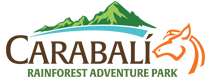 Carabalí Rainforest Adventure Park